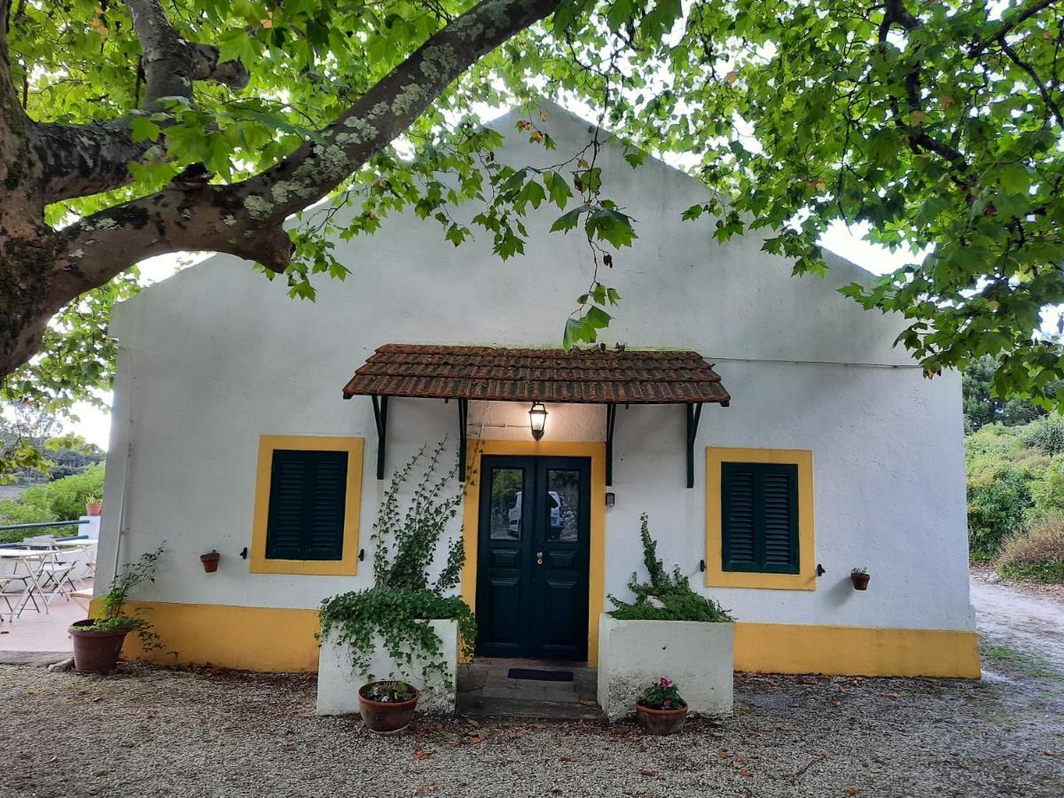Montejunto Villas - Casa Do Platano Cadaval Dış mekan fotoğraf