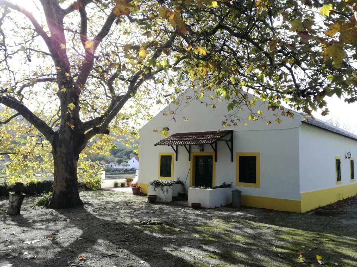 Montejunto Villas - Casa Do Platano Cadaval Dış mekan fotoğraf