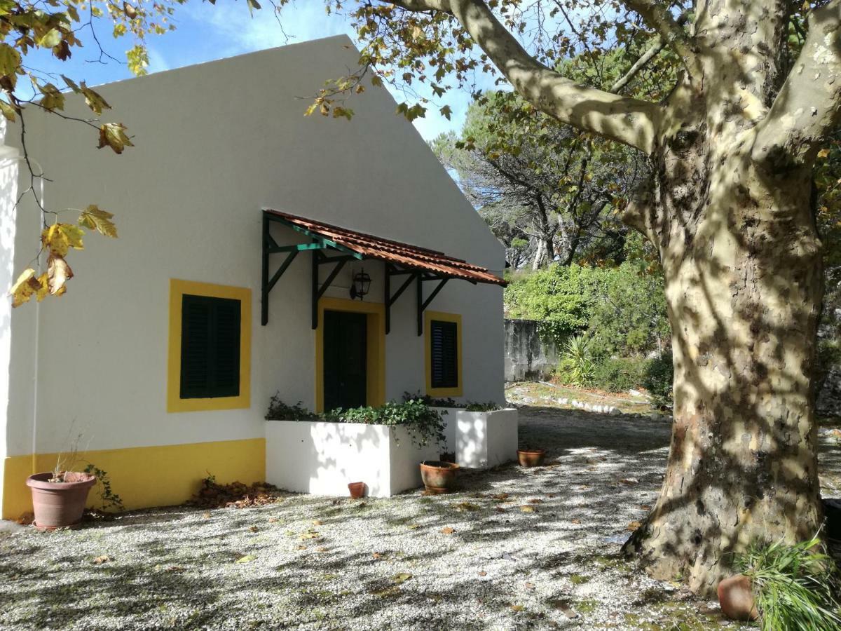 Montejunto Villas - Casa Do Platano Cadaval Dış mekan fotoğraf