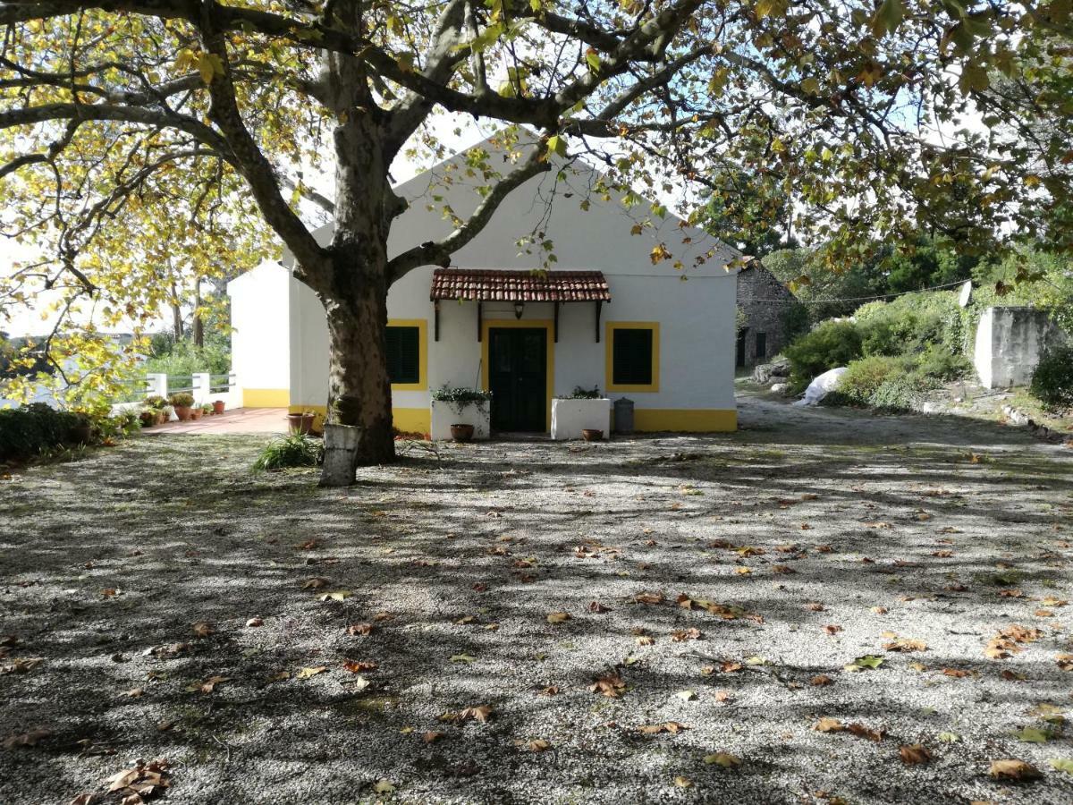 Montejunto Villas - Casa Do Platano Cadaval Dış mekan fotoğraf