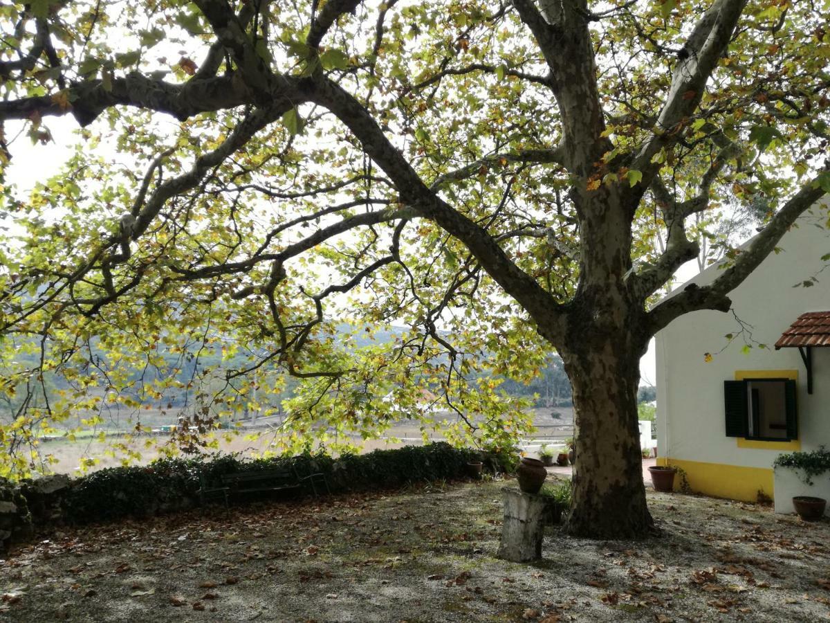 Montejunto Villas - Casa Do Platano Cadaval Dış mekan fotoğraf