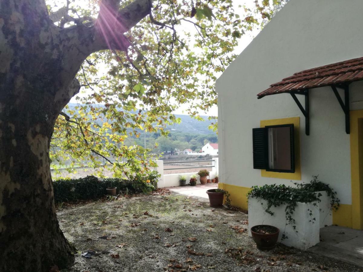 Montejunto Villas - Casa Do Platano Cadaval Dış mekan fotoğraf